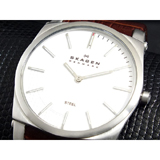 スカーゲン SKAGEN メンズ  腕時計 859LSLC