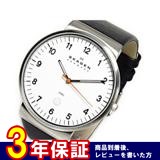 スカーゲン SKAGEN クオーツ メンズ 腕時計 SKW6024