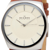 スカーゲン SKAGEN クラシック クオーツ メンズ 腕時計 SKW6084 アイボリー