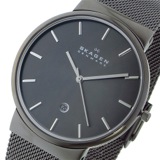 スカーゲン クオーツ メンズ 腕時計 SKW6108 ガンメタル/ガンメタル